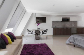 Increible Loft en PH Zona Polanco B